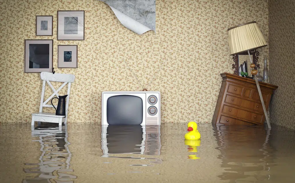 flooded basement