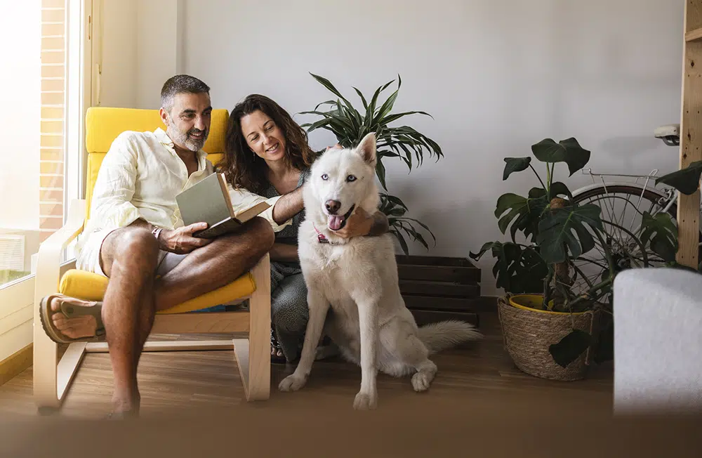 happy couple with dog in clean air home