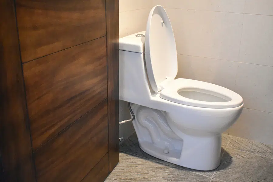 toilet in Colorado Springs home