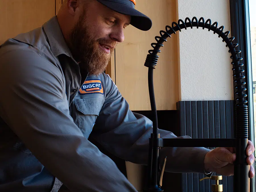 Big Cat plumber fixing kitchen faucet