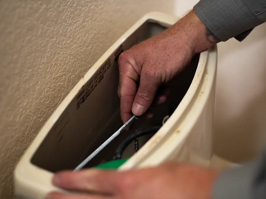 Big Cat plumber examining water hardness inside toilet tank